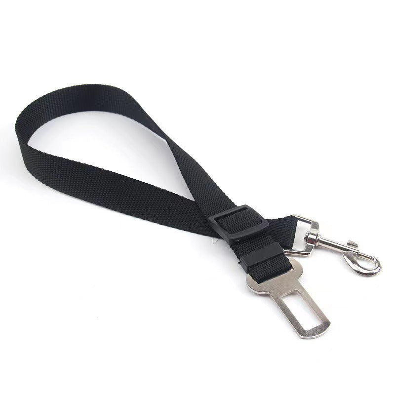 Car Safety Leash