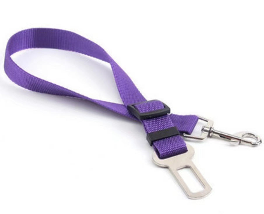 Car Safety Leash