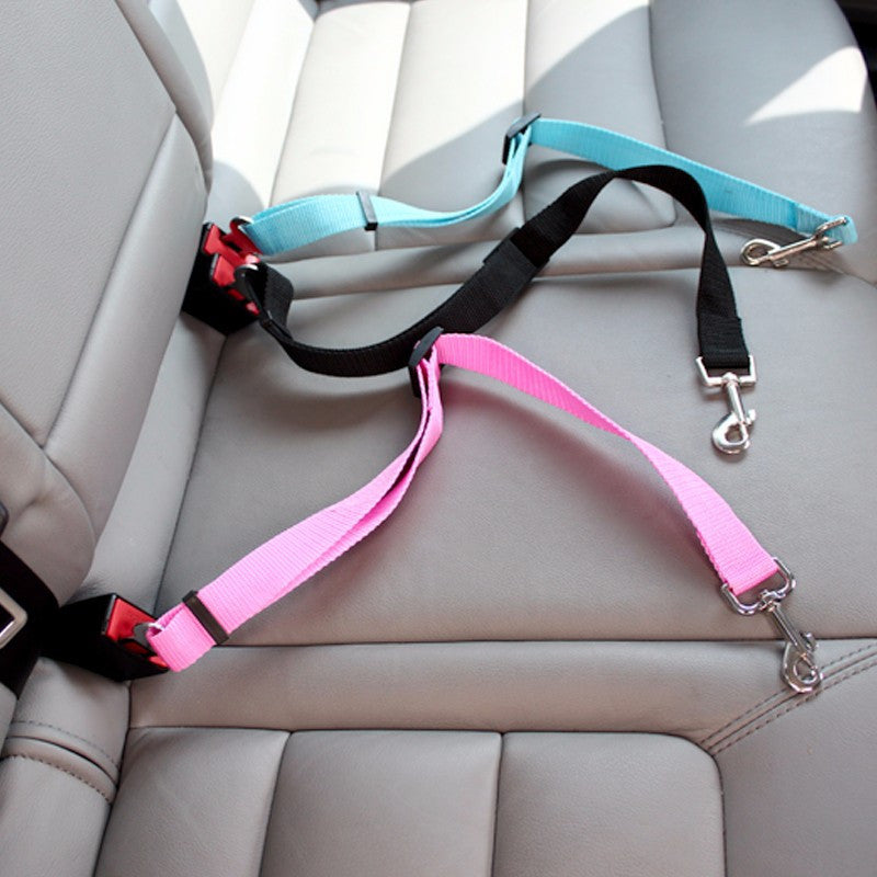 Car Safety Leash