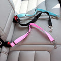 Car Safety Leash