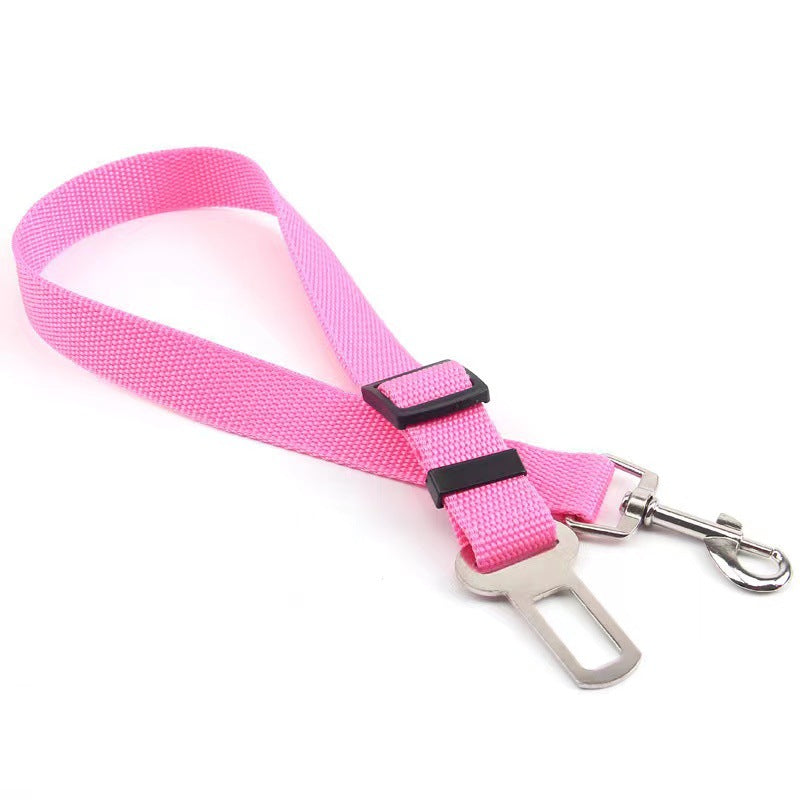 Car Safety Leash
