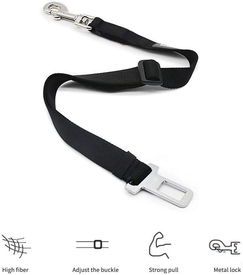 Car Safety Leash
