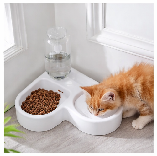 PureFlow Pet Water Bowl