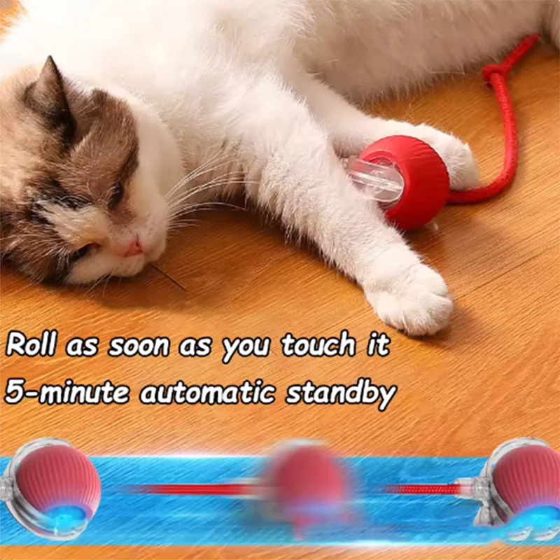 Smart Motion Ball