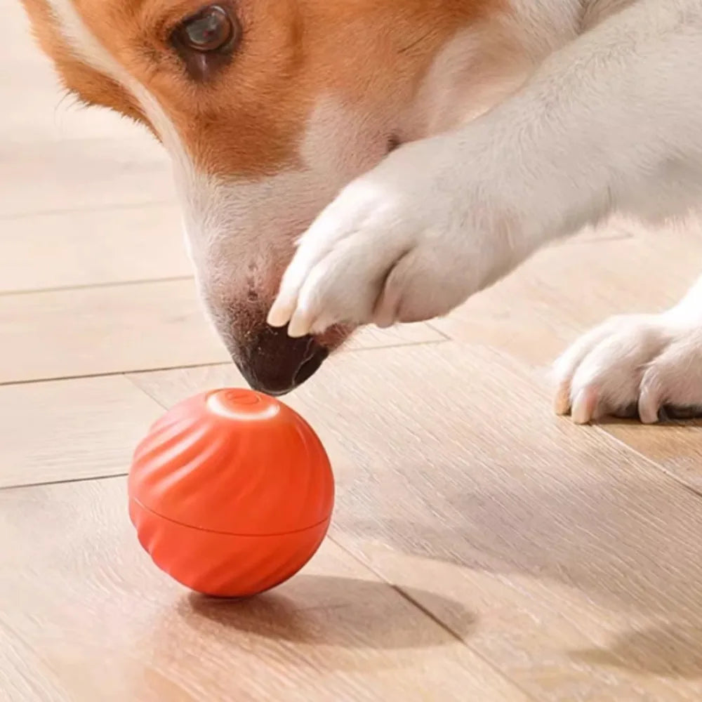 Chase Play Ball