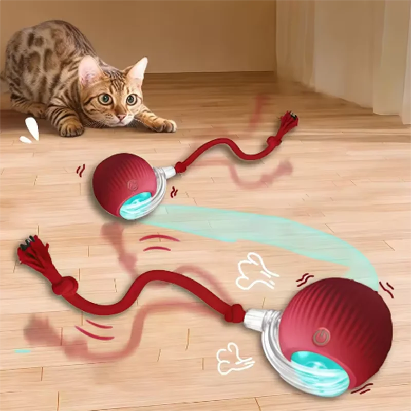 Smart Motion Ball