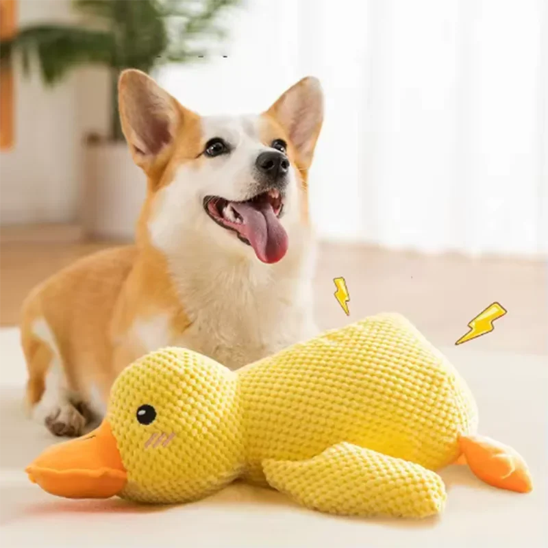Plush Duck Toy