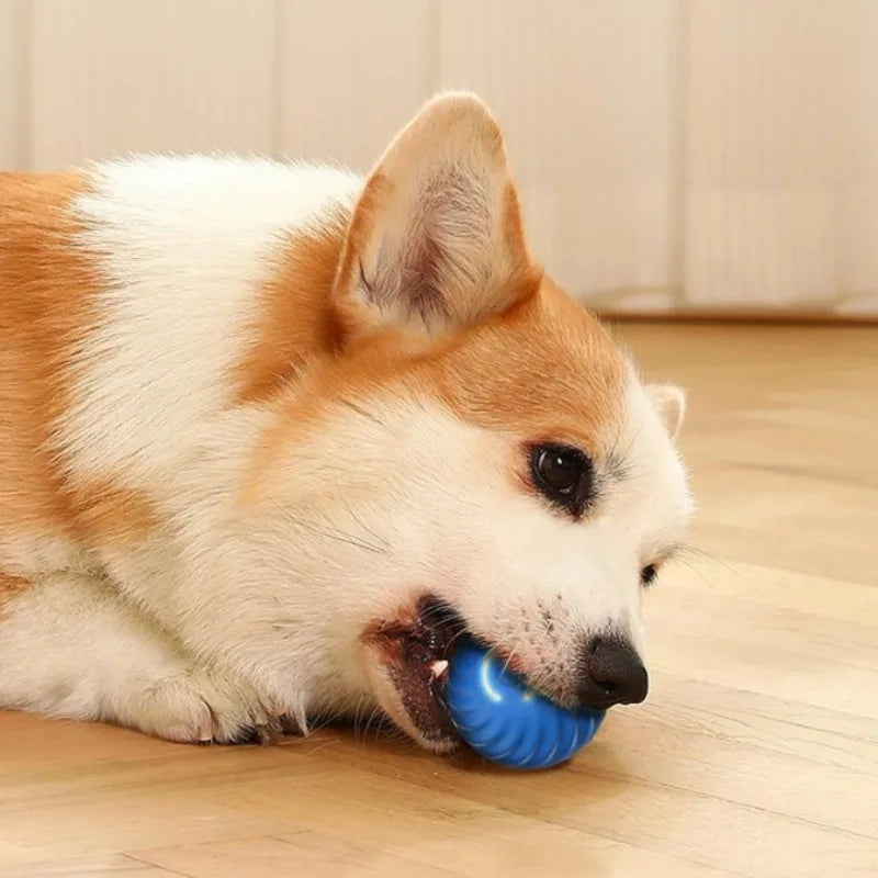 Chase Play Ball