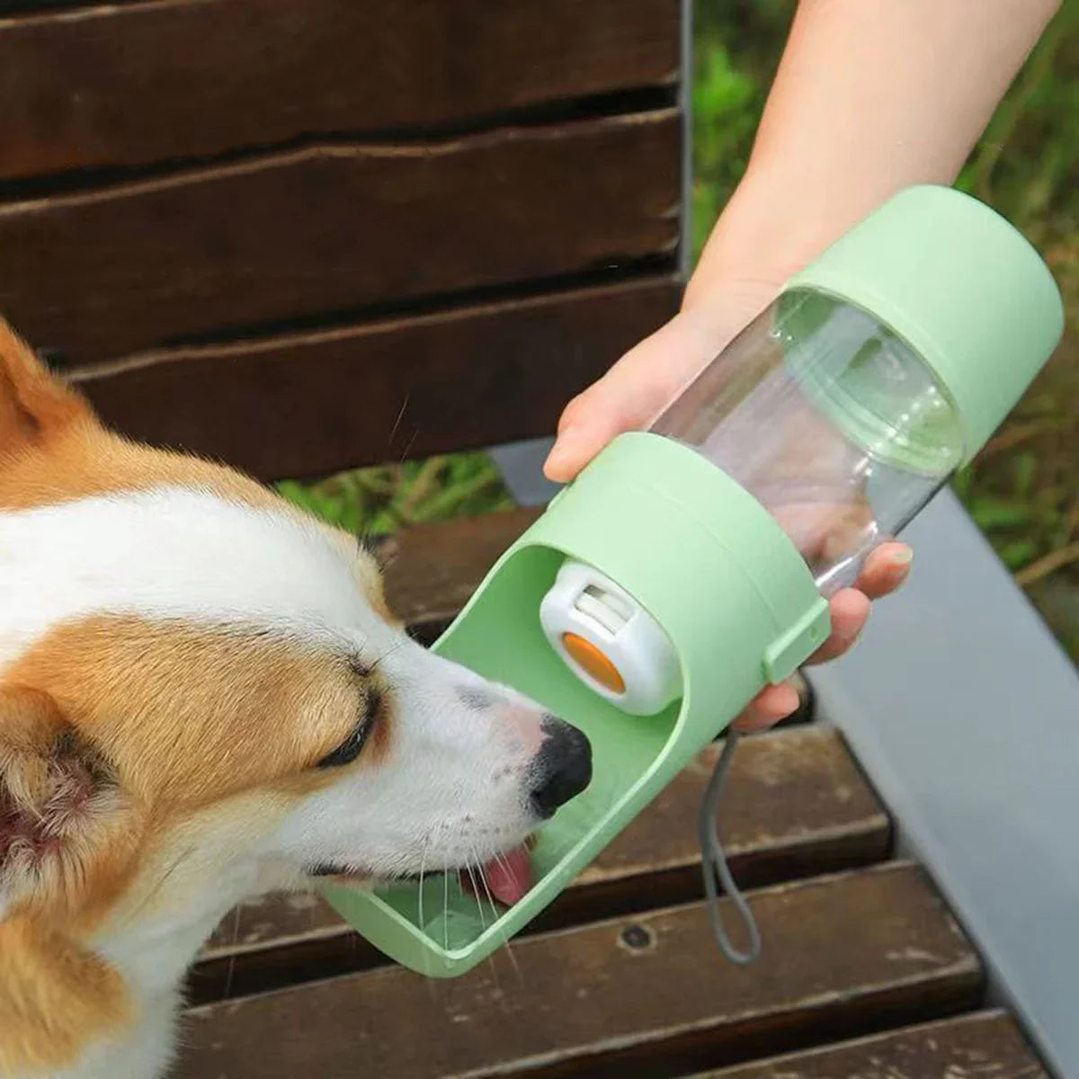 Travel Water Bottle