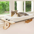 Window Perch Bed