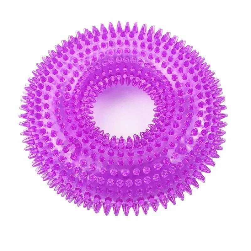 Squeaky Chew Toy