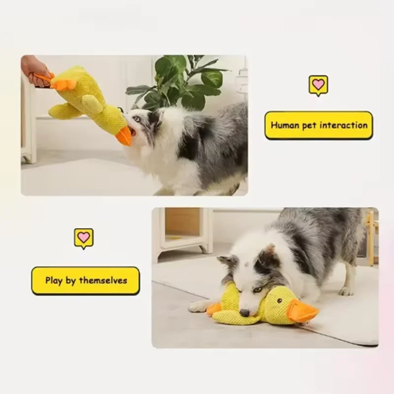 Plush Duck Toy