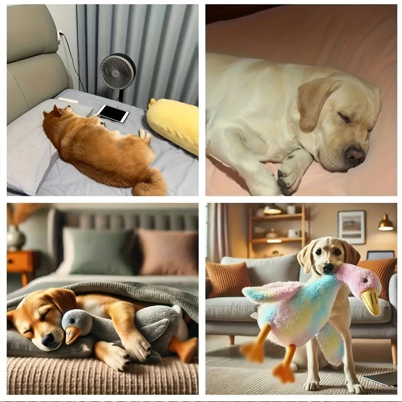 Cozy Duck Toy
