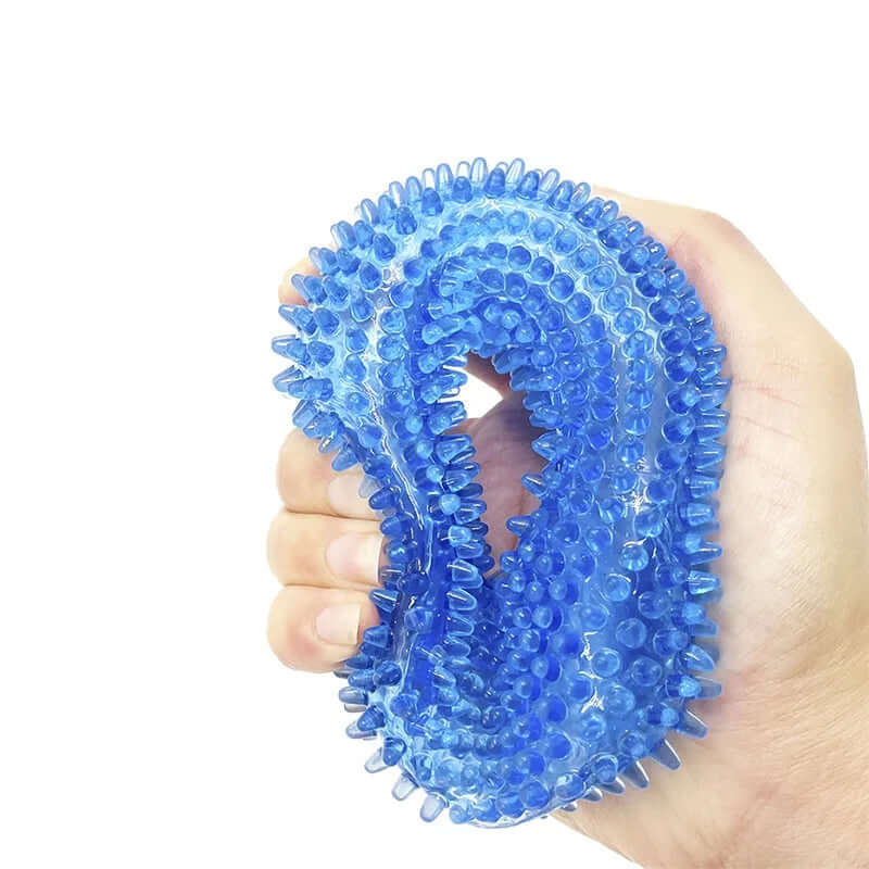Squeaky Chew Toy