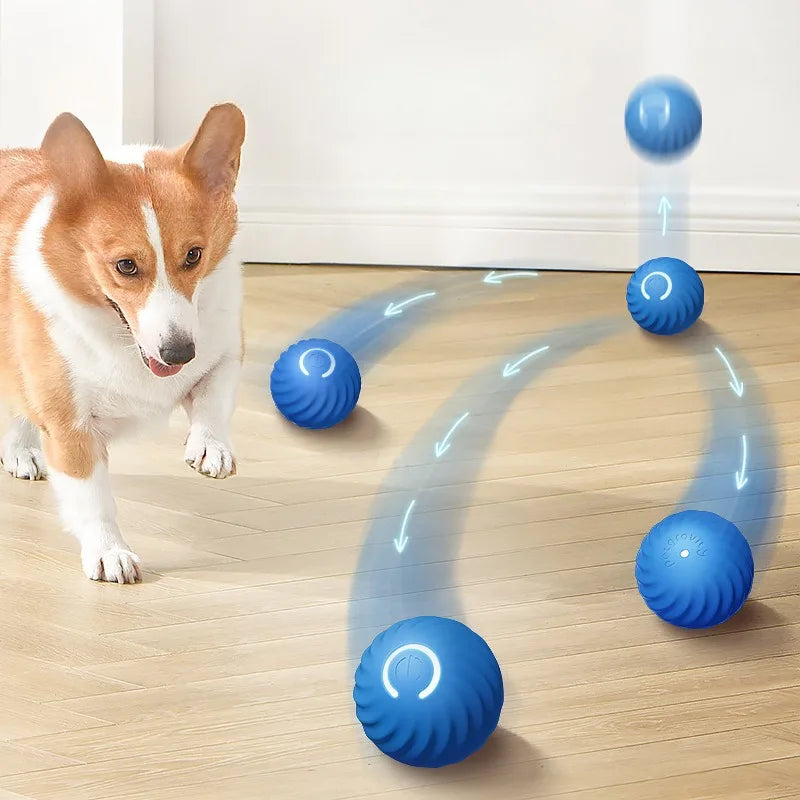 Chase Play Ball