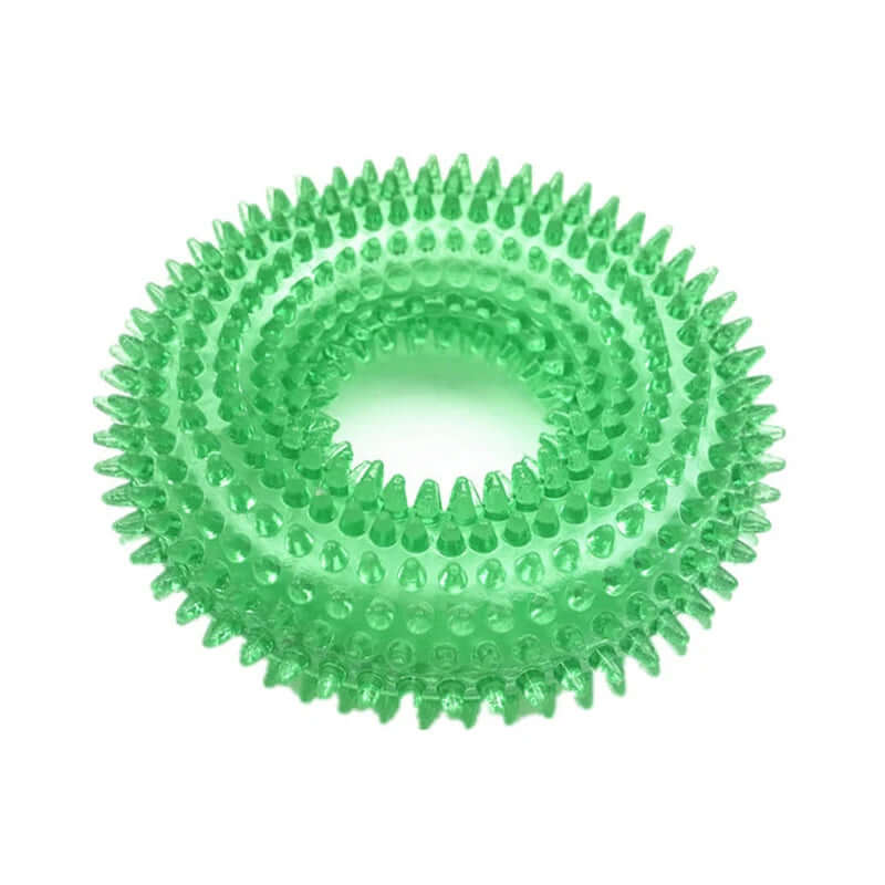 Squeaky Chew Toy