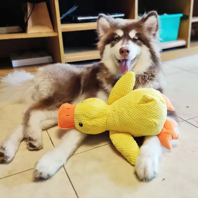 Plush Duck Toy