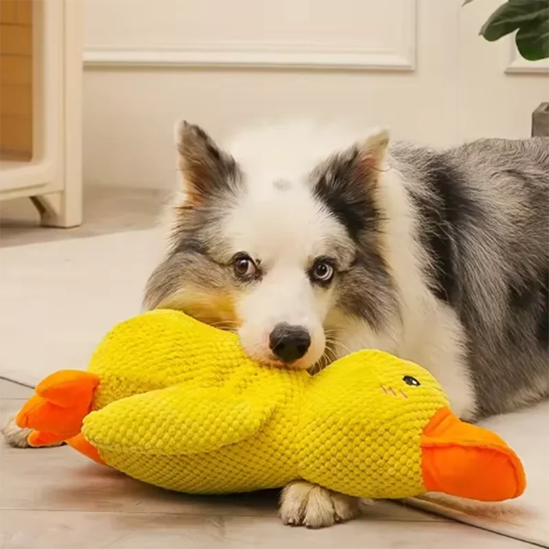 Plush Duck Toy