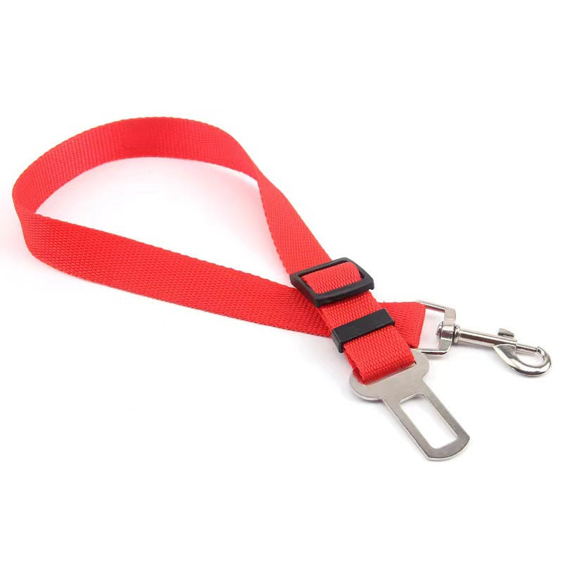 Car Safety Leash