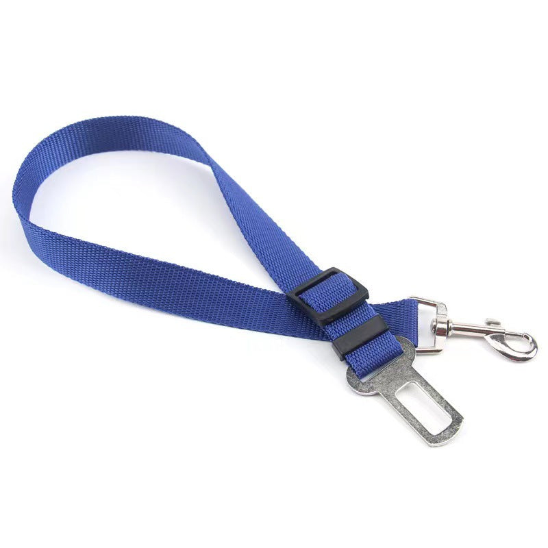 Car Safety Leash