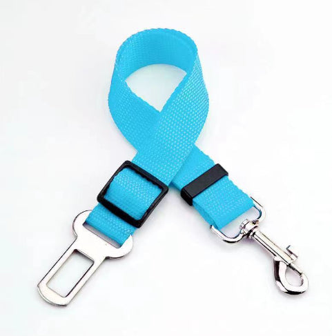 Car Safety Leash
