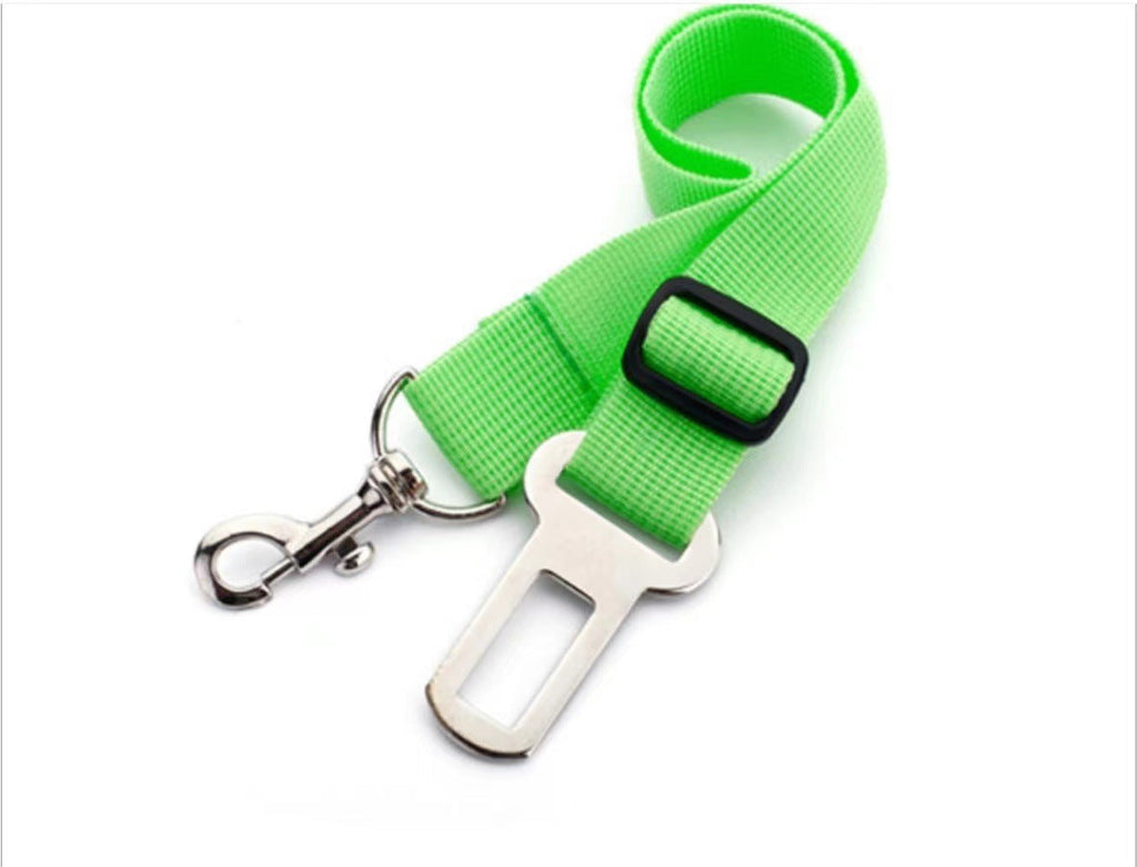 Car Safety Leash