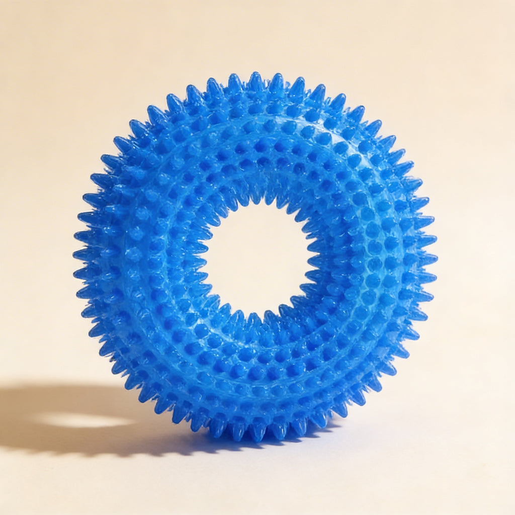 Squeaky Chew Toy