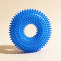Squeaky Chew Toy