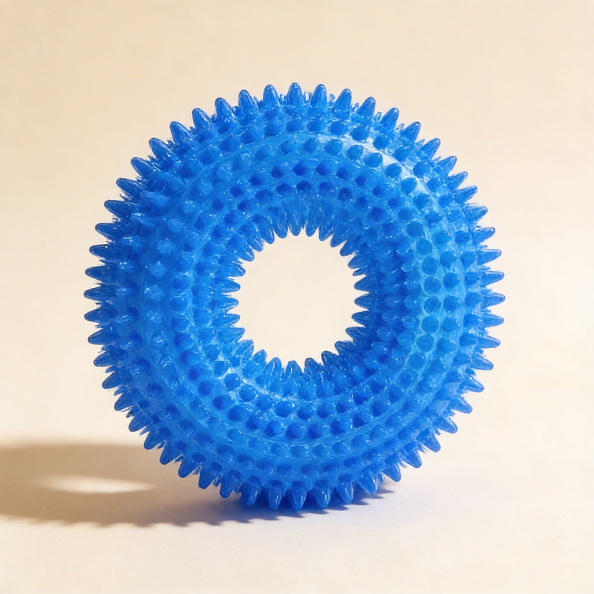Squeaky Chew Toy