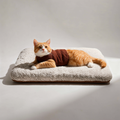 Self-Warming Pet Mat
