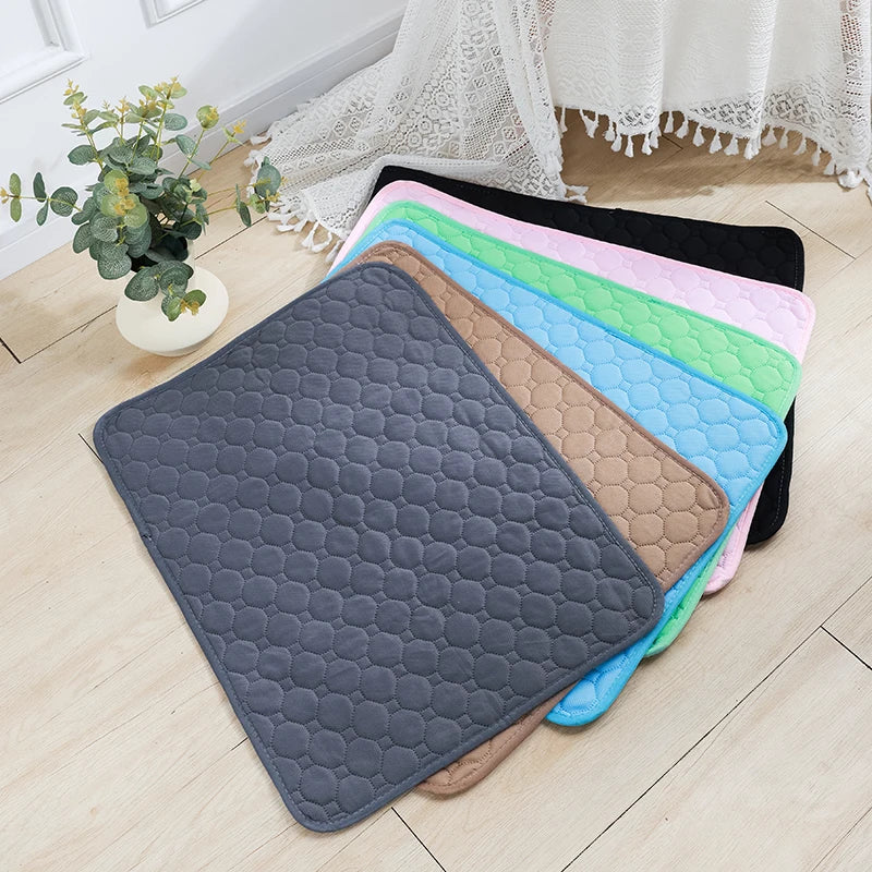 Washable Training Pad