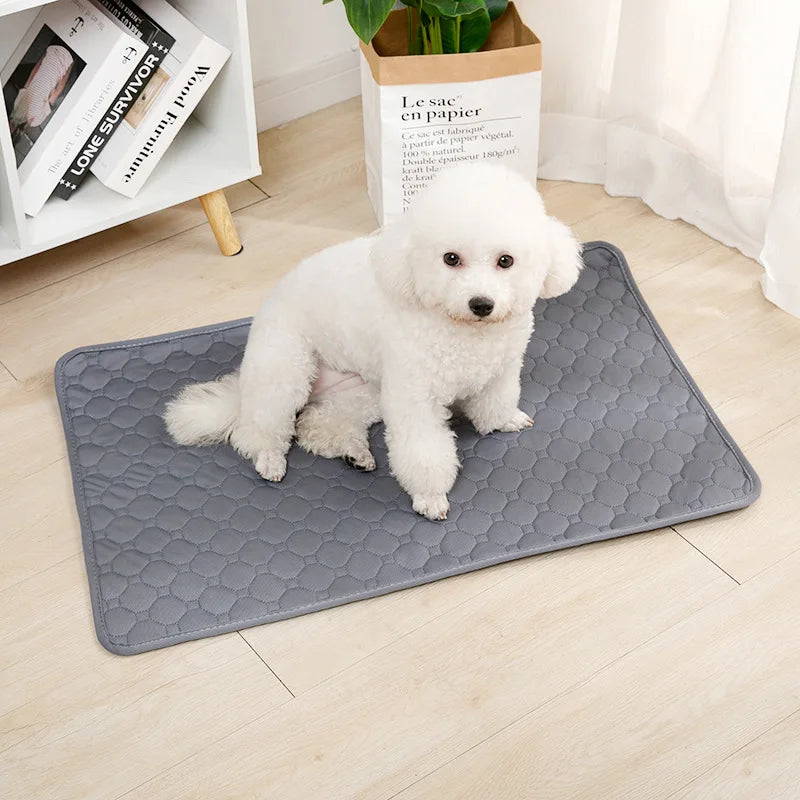 Washable Training Pad